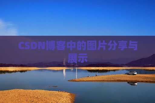 CSDN博客中的图片分享与展示